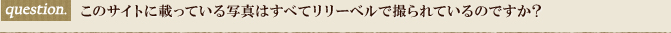 このサイトに載っている写真はすべてリリーベルで撮られているのですか？