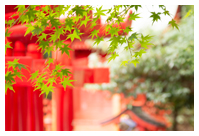 淡島神社（北九州市門司区の神社）